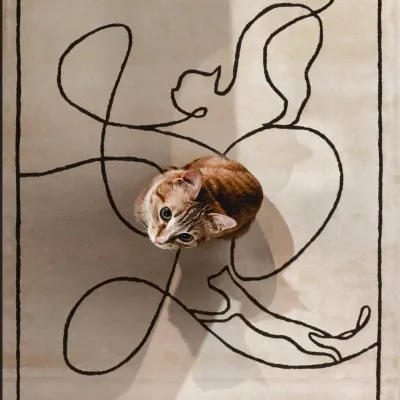 DYWAN CATS IVORY - foto 4